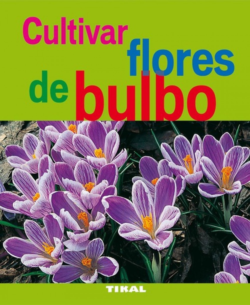 Cultivar flores de bulbo