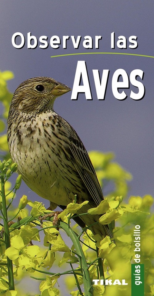 Observar las aves