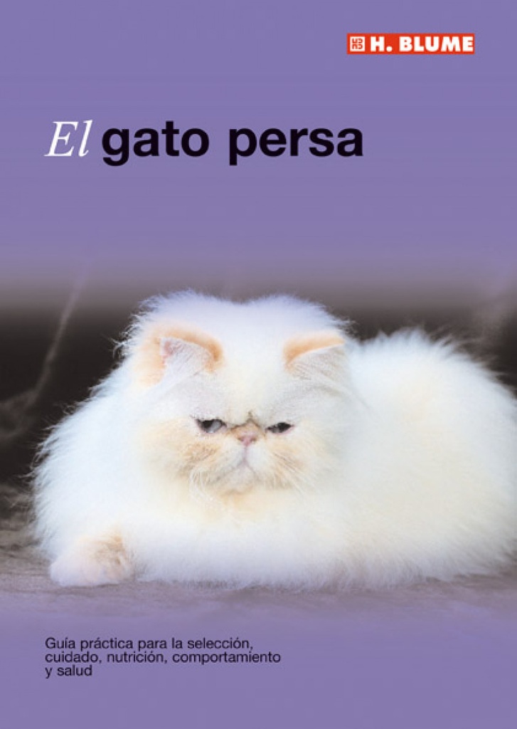 Gato persa