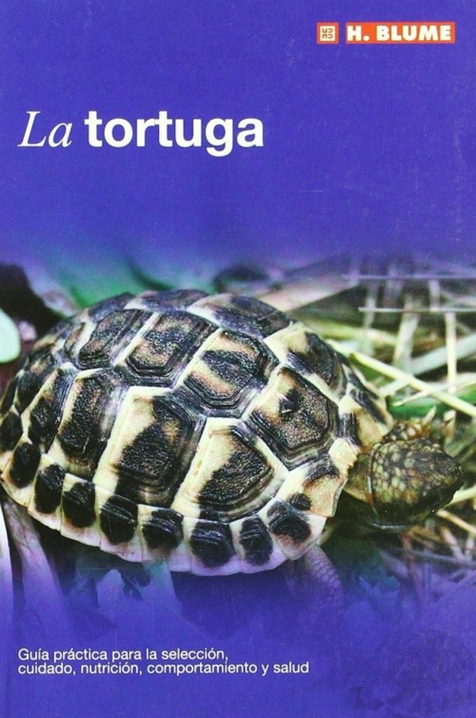 Tortuga