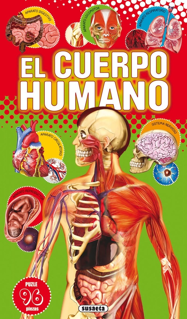 El cuerpo humano