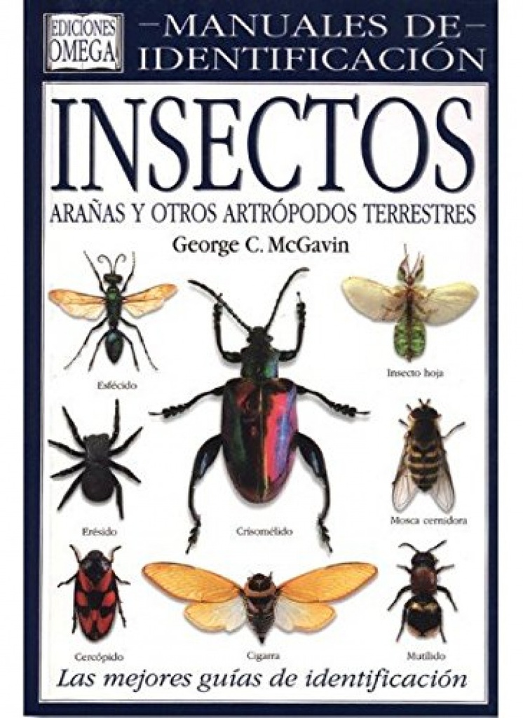 Insectos arañas y artrópodos terrestres