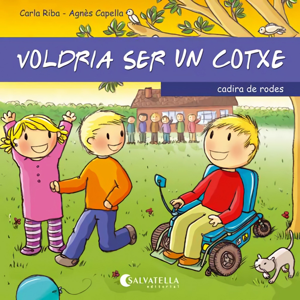 Voldria ser un cotxe