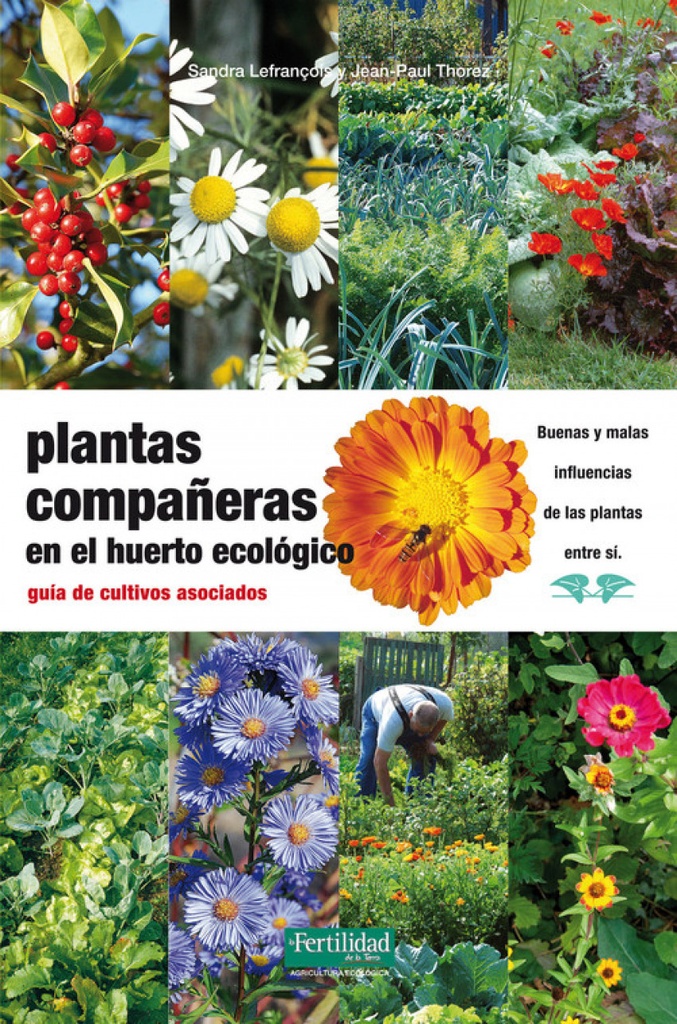 Plantas compañeras del huerto