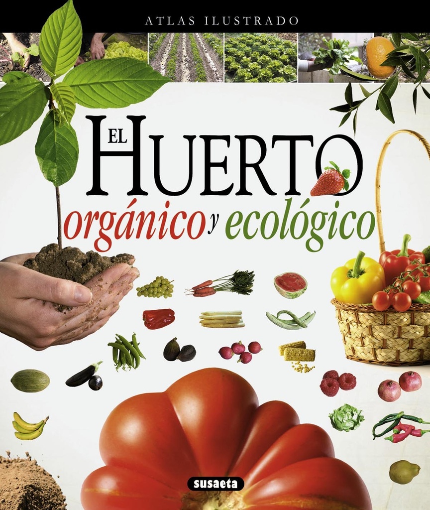 Huerto orgánico y ecológico