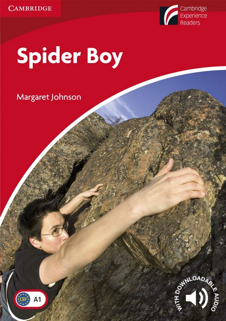 Spider boy