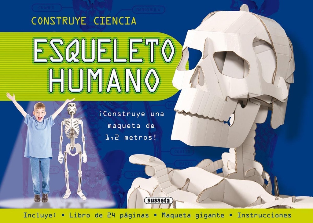 Esqueleto humano