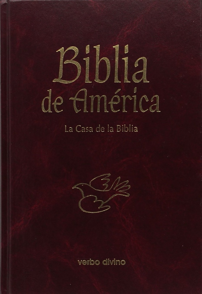 Biblia America Manual