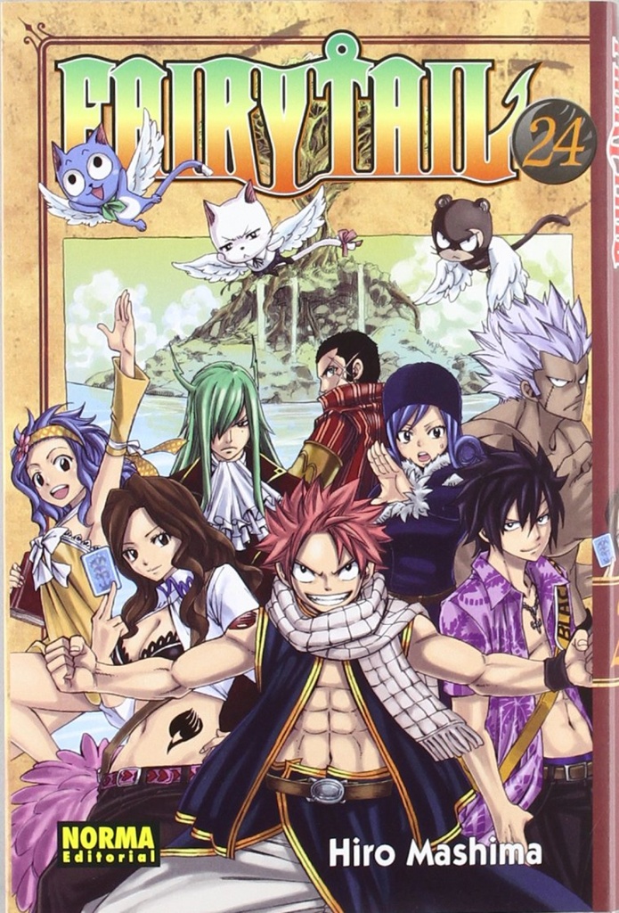 FAIRY TAIL 24