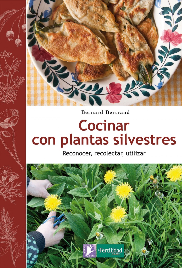 Cocinar con plantas silvestres