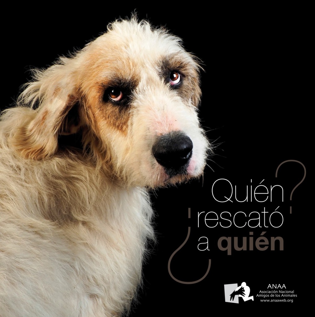 ¿Quién rescato a quién?