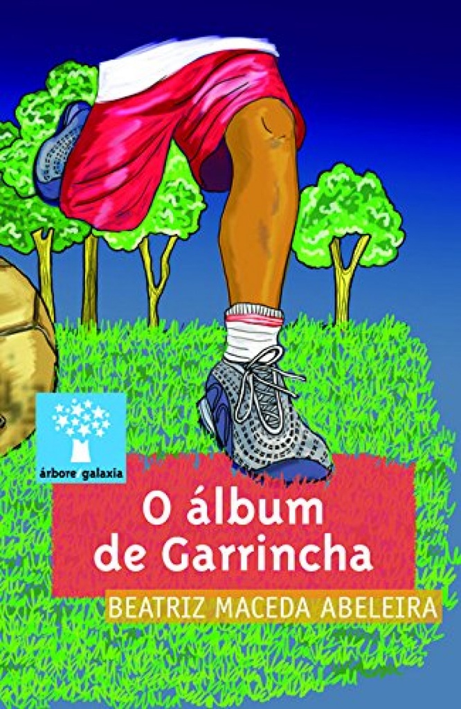 O álbum de Garrincha