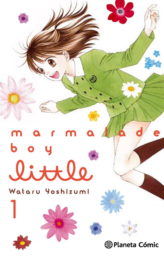 Marmalade boy little