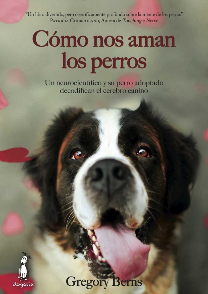 Cómo nos aman los perros