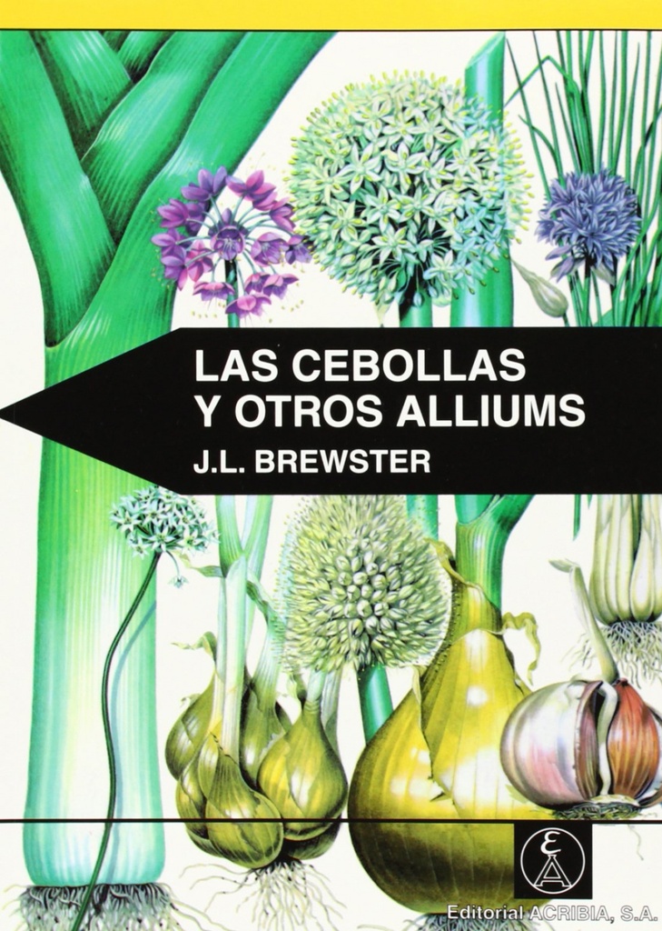 LAS CEBOLLAS/OTROS ALLIUMS