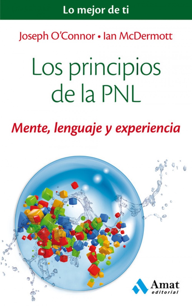 Principios De La Pnl Mente Lenguaje Y Ex