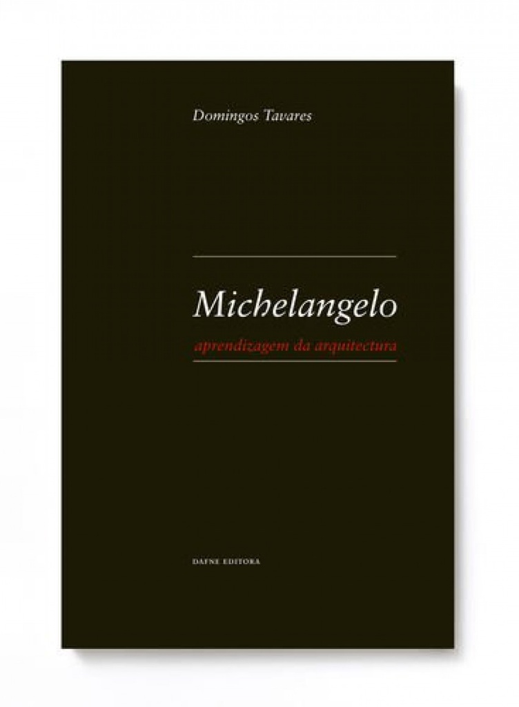 Michelangelo: Aprendizagem da arquitectura