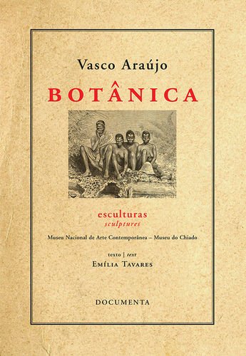 BOTÂNICA - ESCULTURAS