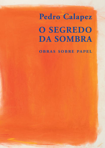 O SEGREDO DA SOMBRA - OBRAS SOBRE PAPEL