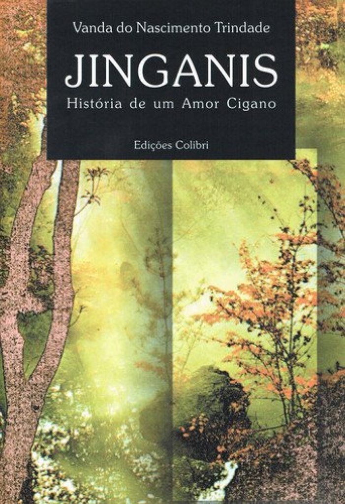 JINGANIS HISTÓRIA DE UM AMOR CIGANO