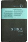 BIBLIA BPTC 54C CINZA