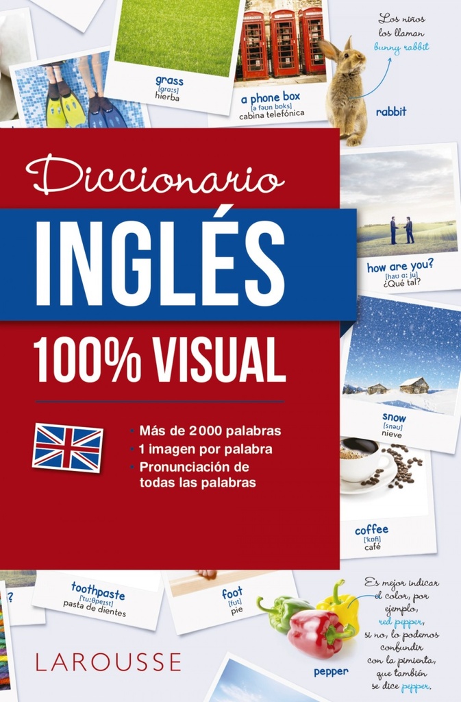 DICCIONARIO DE INGLéS 100% VISUAL