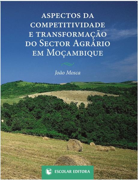 Aspectos da Competitividade e TransformaÇao do Sector Agrário em MoÇambique