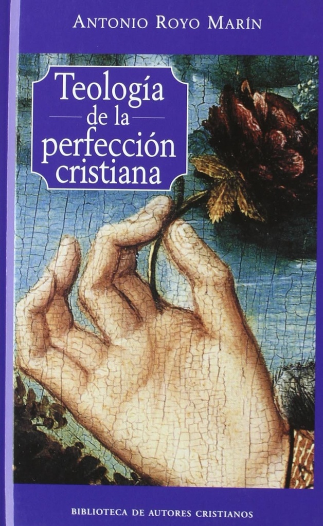 Teología de la perfección cristiana