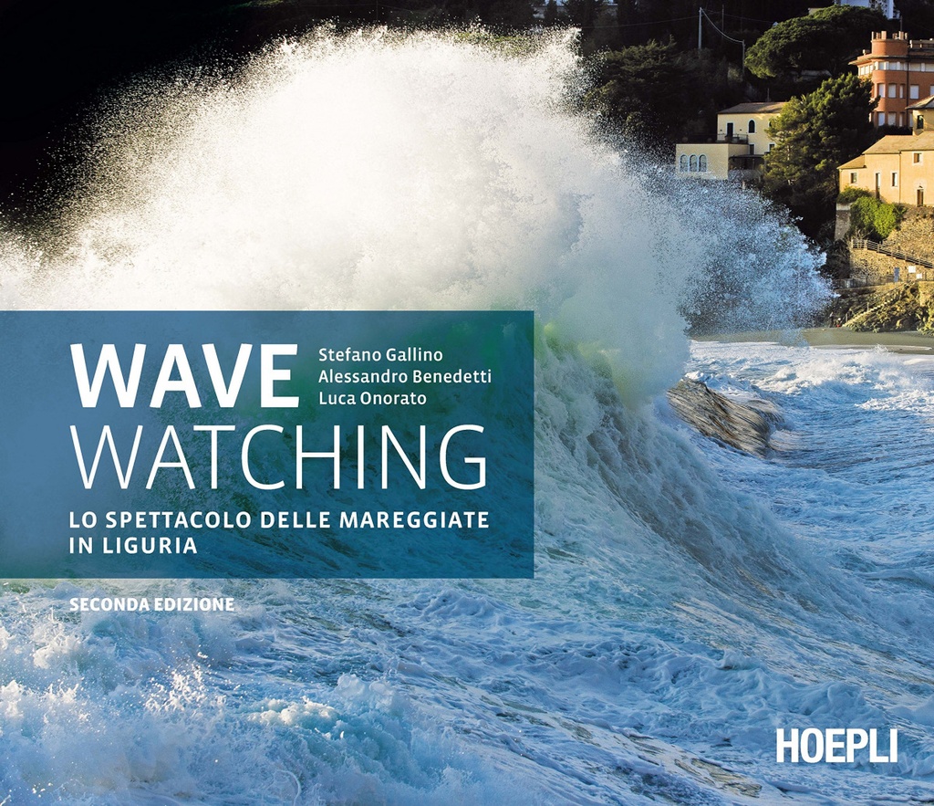 Wave Watching