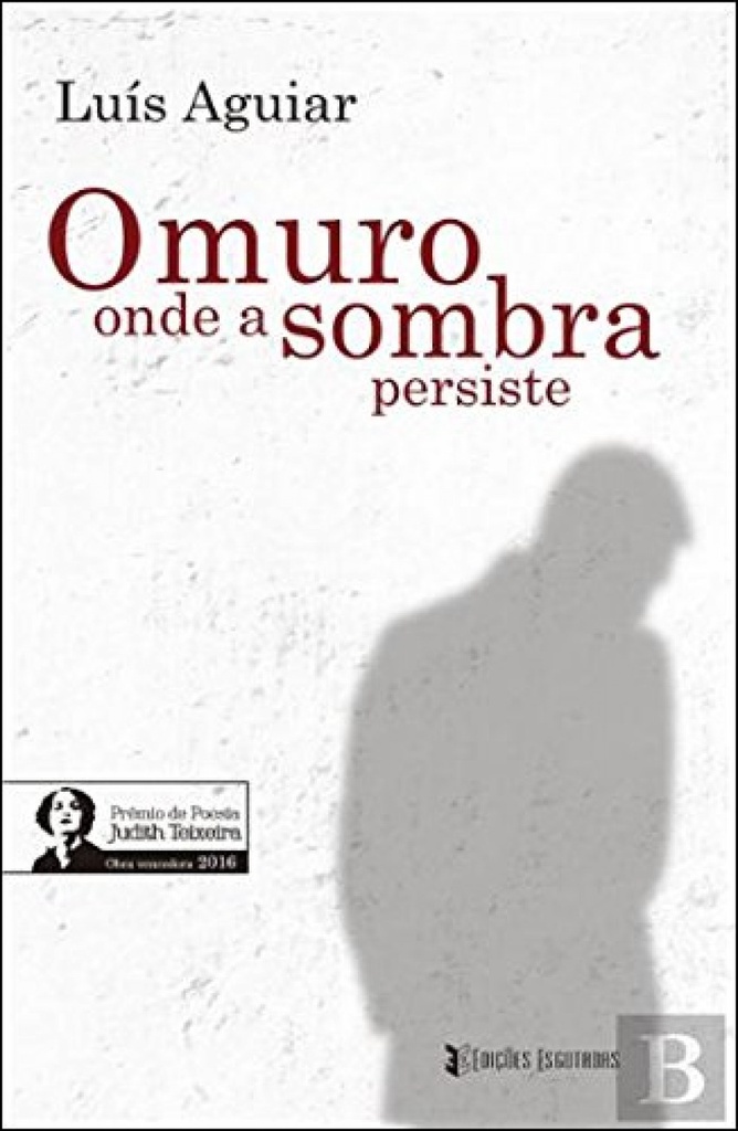 O MURO ONDE A SOMBRA PERSISTE
