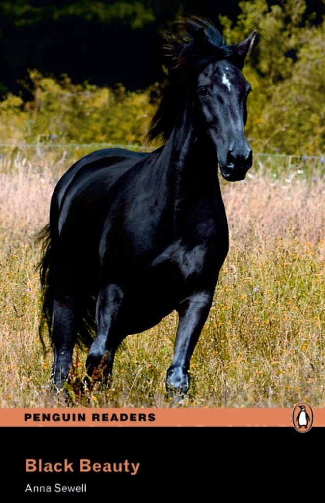 BLACK BEAUTY BOOK