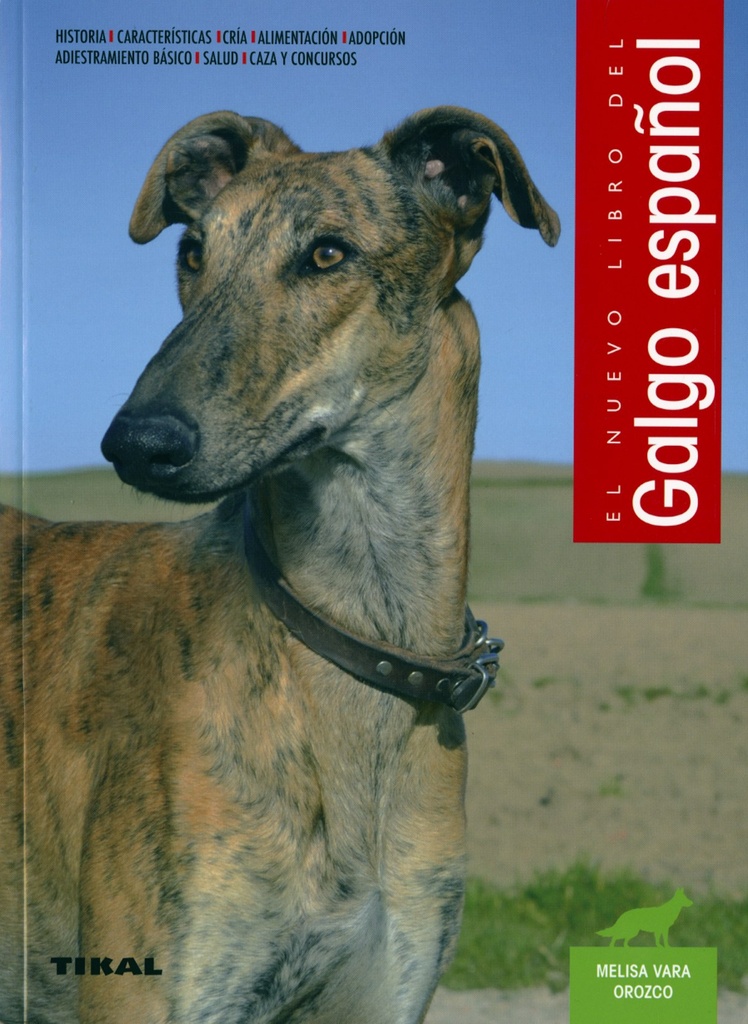 GALGO ESPAÑOL