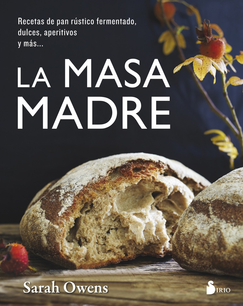 LA MASA MADRE