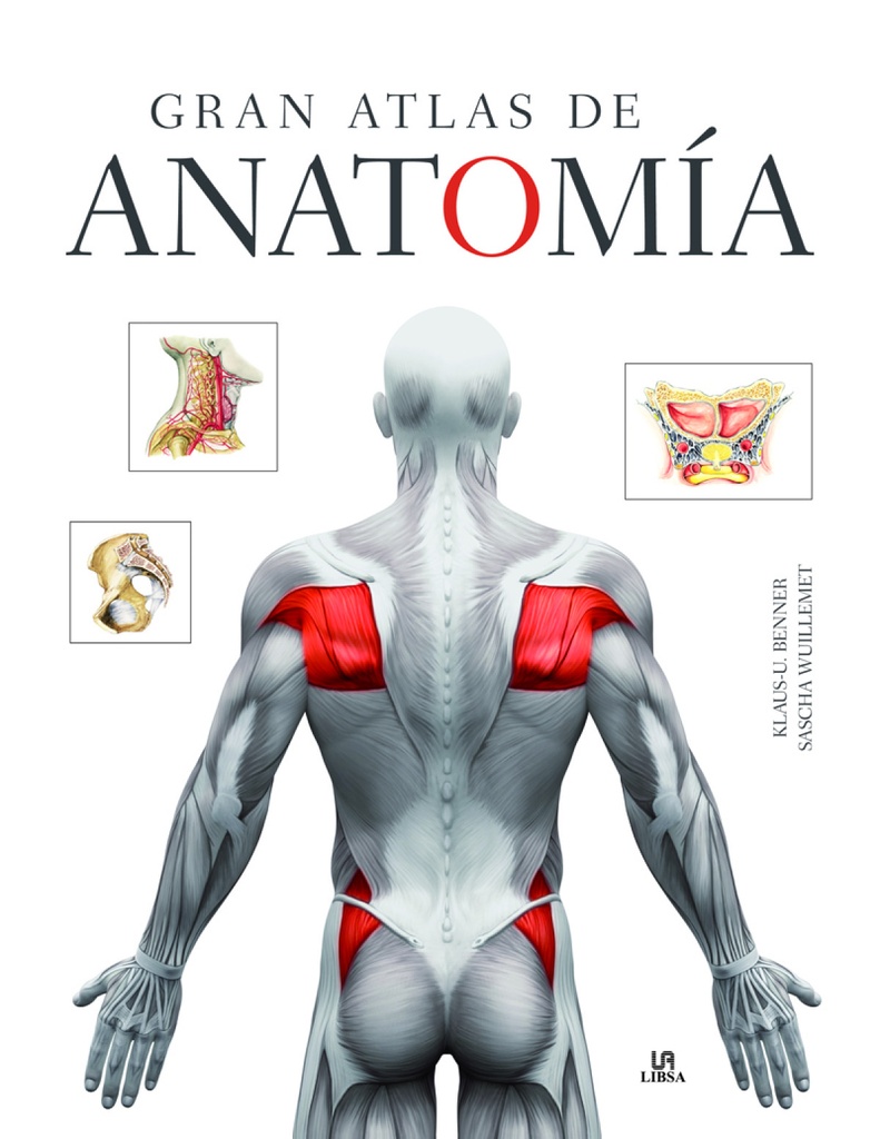 GRAN ATLAS DE ANATOMÍA