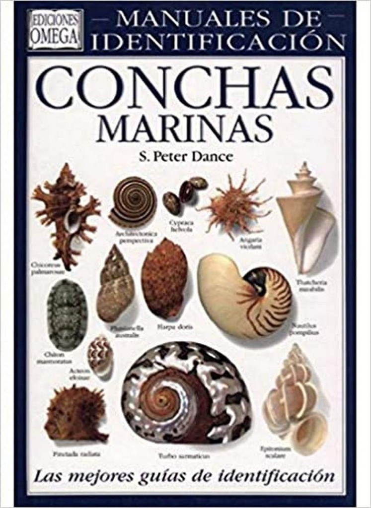 CONCHAS MARINAS