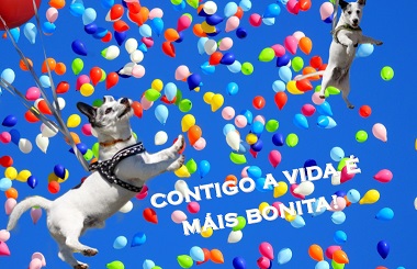 Contigo a vida é máis bonita (Postal)