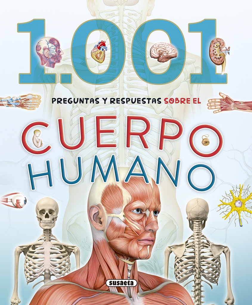 CUERPO HUMANO