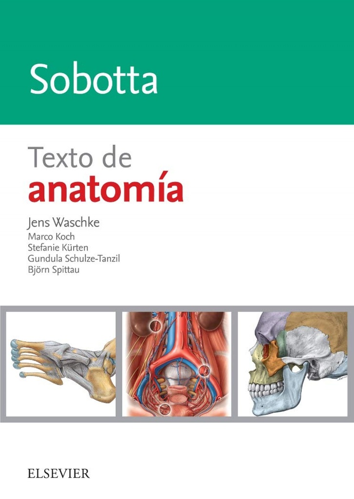 SOBOTTA. TEXTO DE ANATOMIA