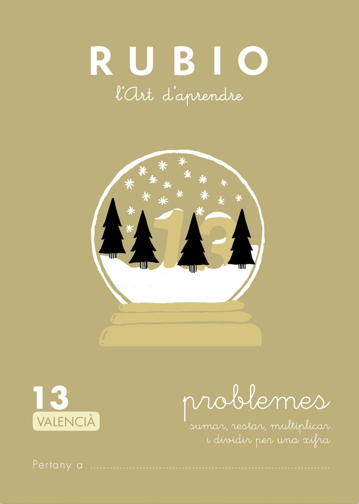 PROBLEMES 13