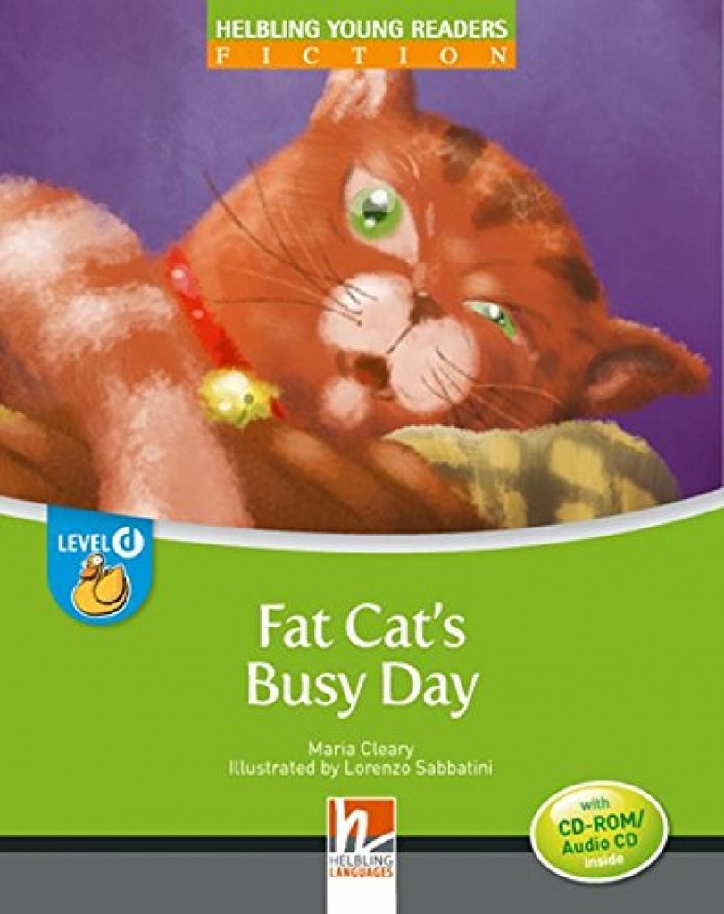 FAT CAT´S BUSY DAY BIG BOOK LEVEL D