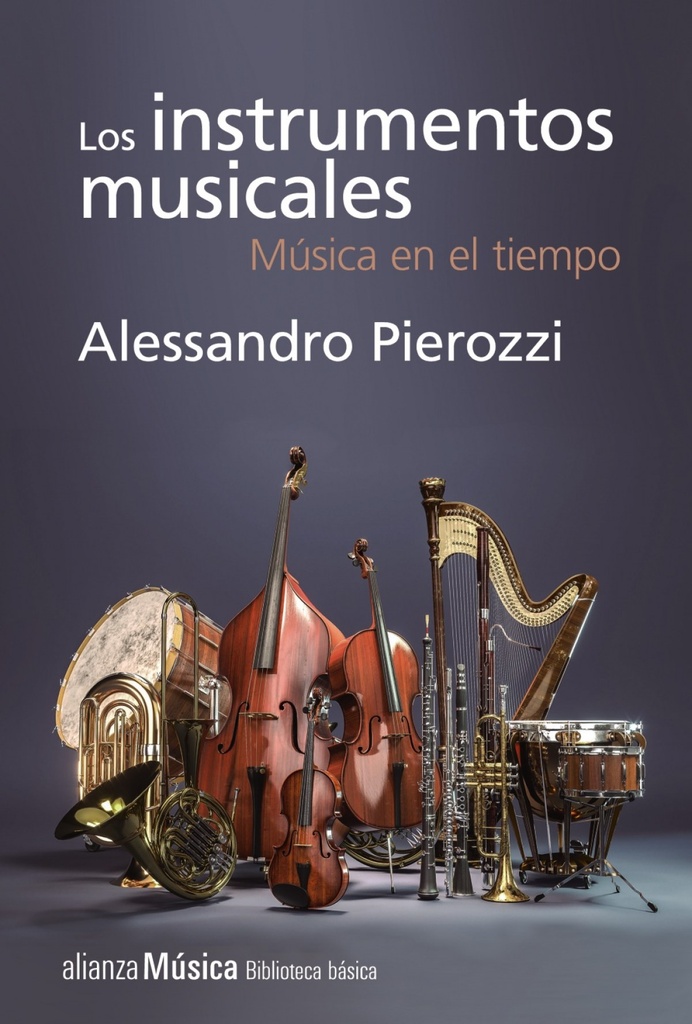 INSTRUMENTOS MUSICALES