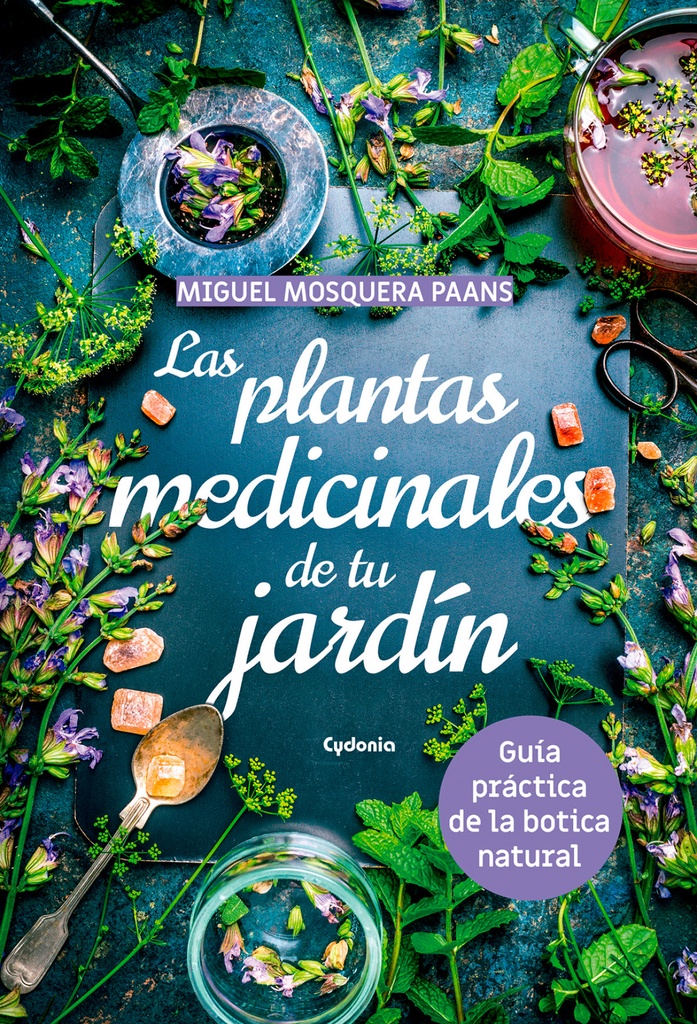 Las plantas medicinales de tu jardín