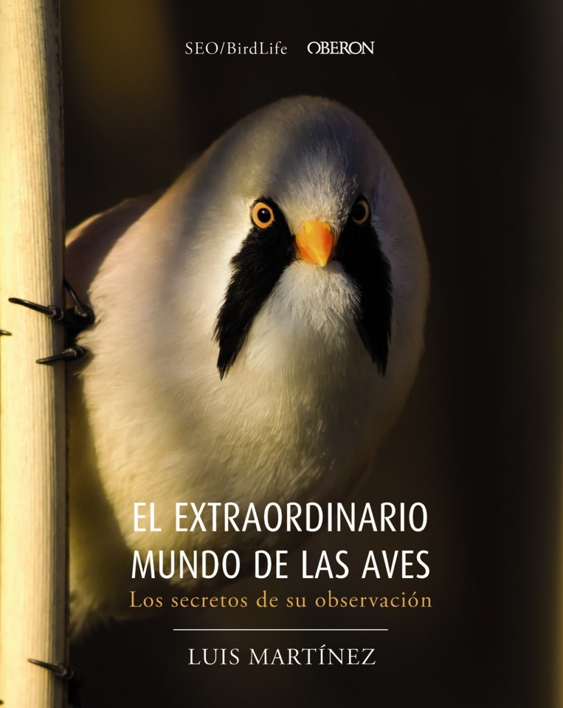 EL EXTRAORDINARIO MUNDO DE LAS AVES