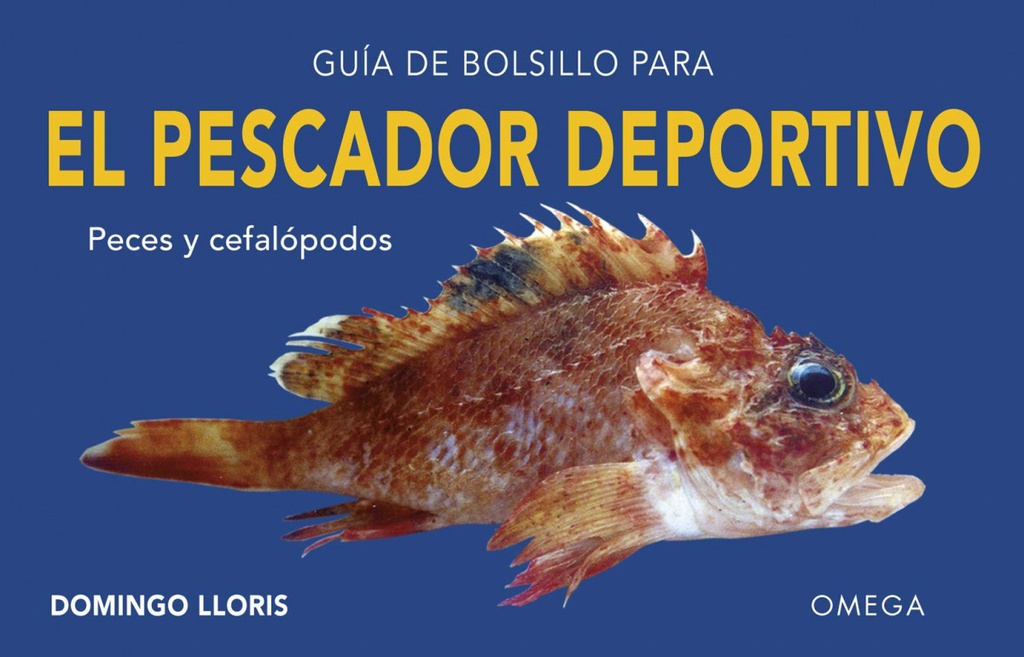 EL PESCADOR DEPORTIVO