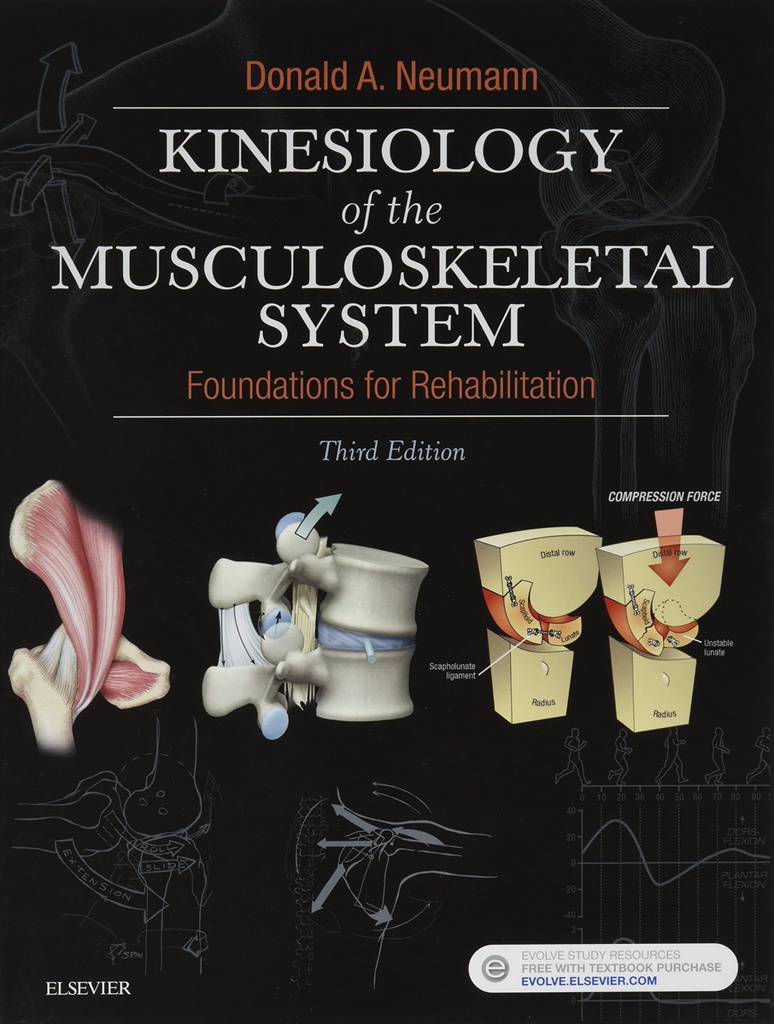 KINESIOLOGY OF THE MUSCULOSKELETAL SYSTEM.(FOUNDATIONS FOR REHABILITATION.(3RD EDITION)