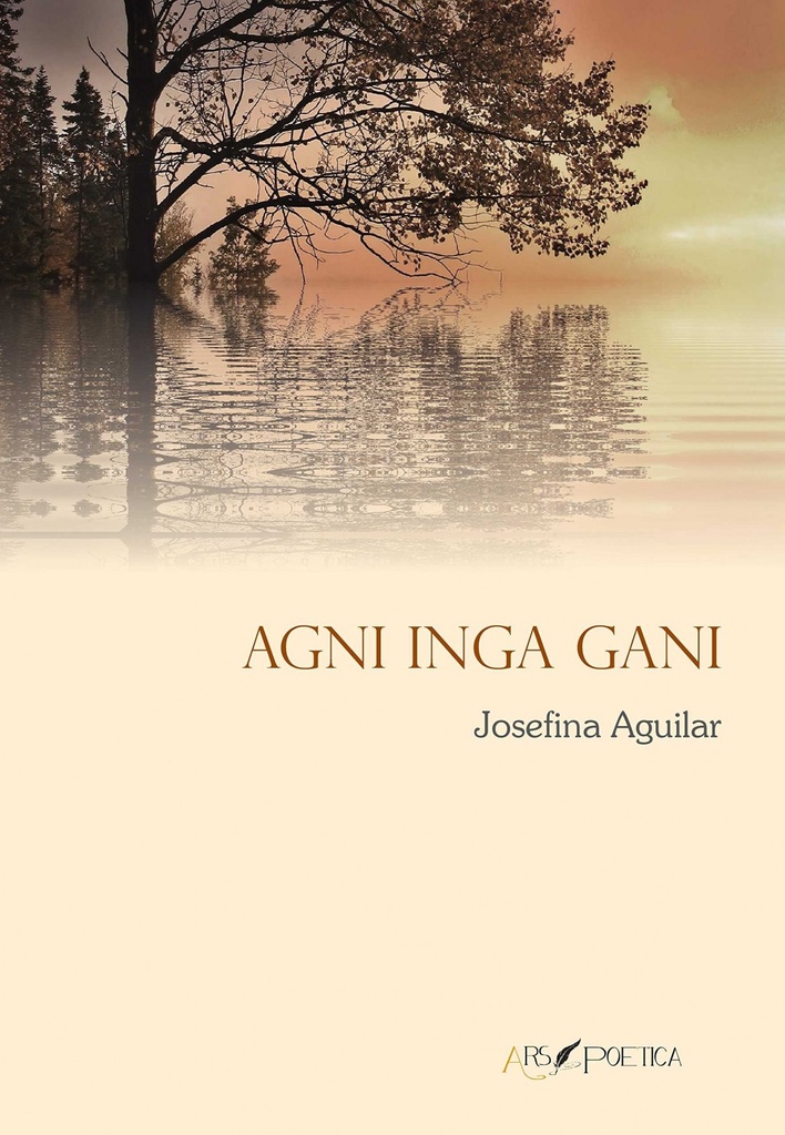 AGNI INGA GANI