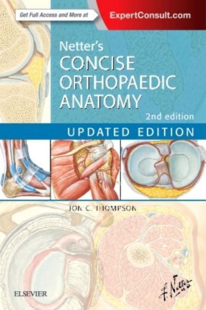 Netter´s Concise Orthopaedic Anatomy, Updated Edition