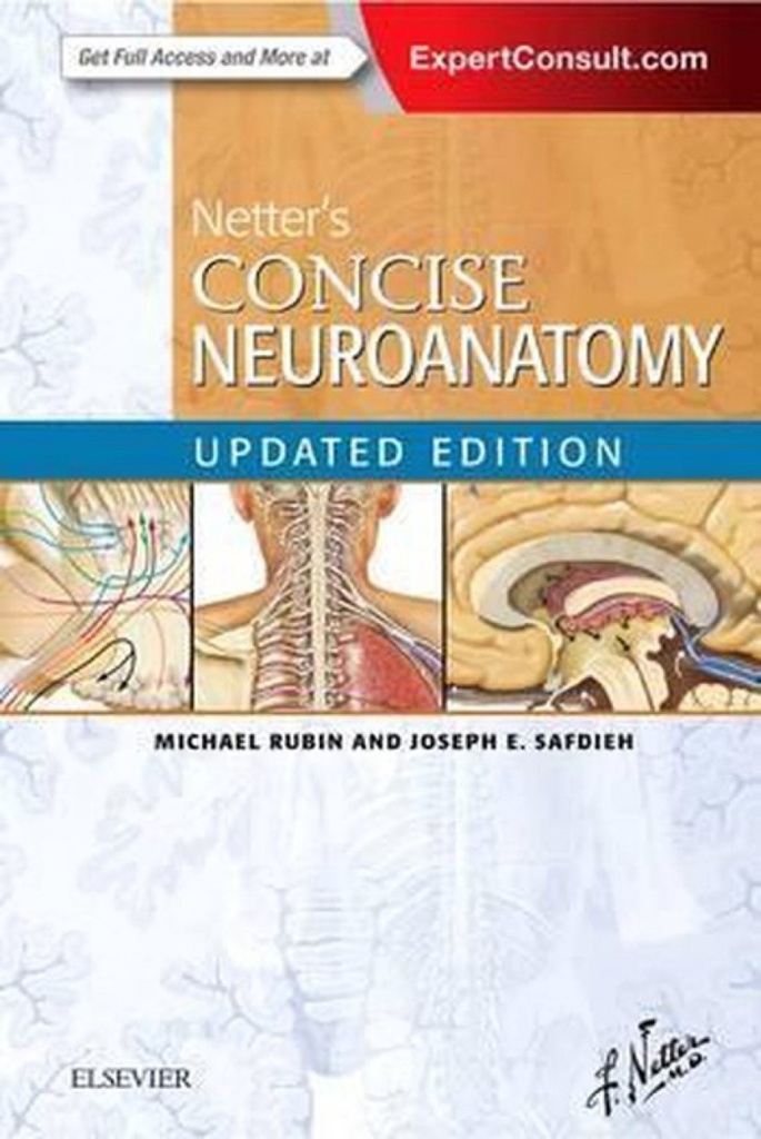 Netter´s Concise Neuroanatomy Updated Edition
