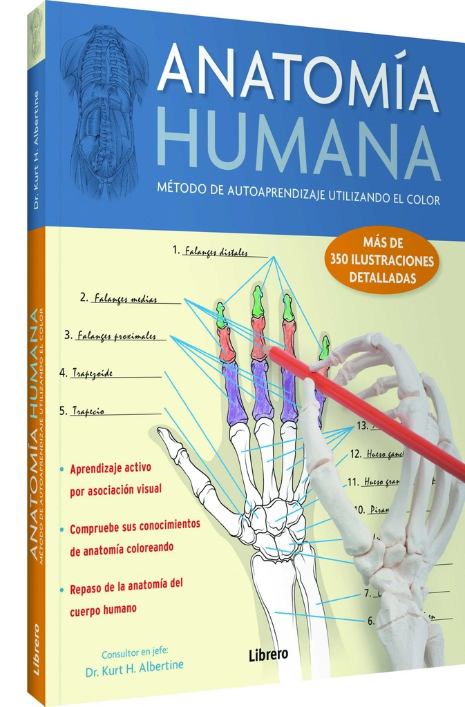 ANATOMÍA HUMANA