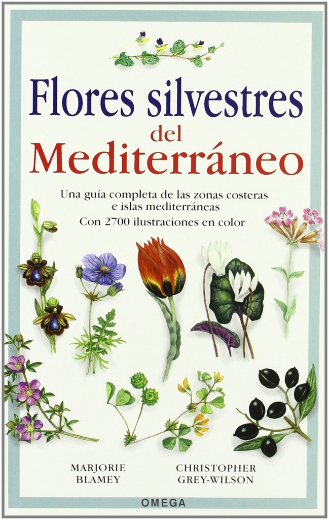 FLORES SILVESTRES DEL MEDITERRÁNEO